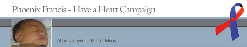 About Congenital Heart Disease